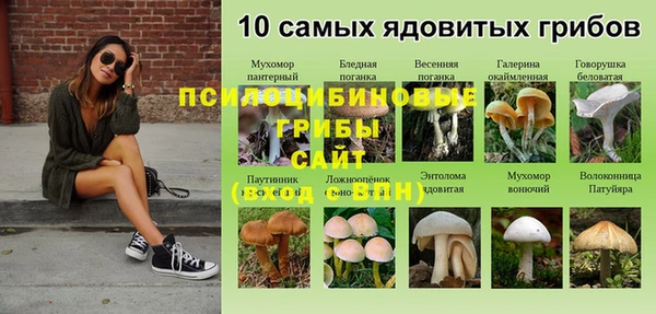 синтетический гашиш Новозыбков
